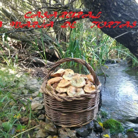 La Maria De Tortas Pension Paterna del Madera Buitenkant foto